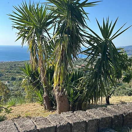 Villa Amare Montauro